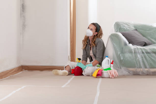 Reliable Crawl Space Mold Removal contractor in Stevenson, WA by WQB Mold Removal